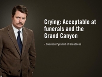 Swanson on emotions