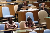 Swaziland at the UN