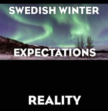 Swedish Winters