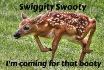 SWIGGITY SWOOTY