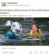 Swimming with dolphins Count me in