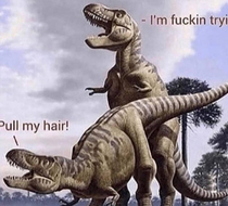 T-Rex problems