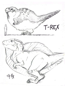 T-Rex the apex predator