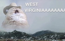 Take me hoooome country roooooad