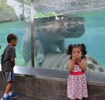 Take the kids to the zoo itll be fun