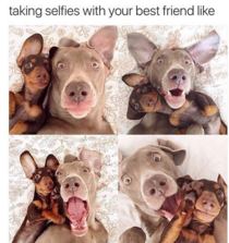 Taking Selfies with your best friend like