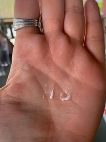 Tapped my lotion bottle to my hand and it took the opportunity to let me know exactly what it thinks of me