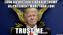 Taught my mother how to use Imgur and she created this now introducing Trust Me Trump