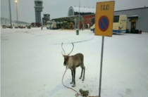 Taxi in Finland