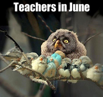 Teachers in June