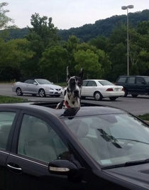 Technically hes not locked in the car