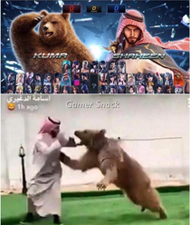 Tekken in rl