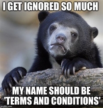 Terms and Conditions