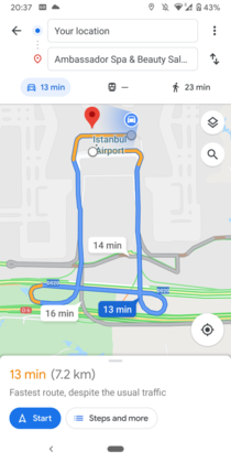 TFW Google Maps sends you unwanted dick-picks