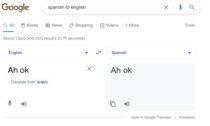 THANK GOD for Google translate