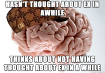 Thanks a lot brain