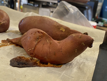 Thanksgiving miracle A yam shaped like a harbor seal Sort of like Jesus burned into toast Right