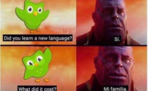 Thanos vs Duolingo bird who wins