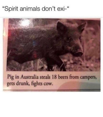 that aint no pig