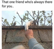 That one friend whos always there for you