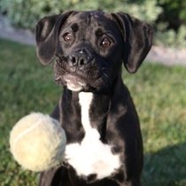 That split second before she catches the ball