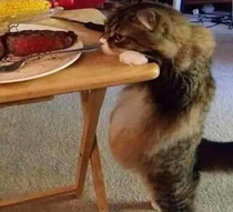 Thats a fine looking steak