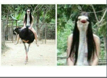 Thats a scary ostrich