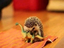 Thats how Dinosaurs really Died Out