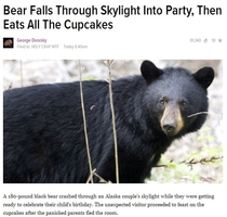 Thats my kind of bear