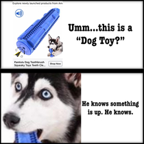 Thats not a dog toy