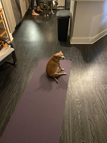 Thats not downward dog