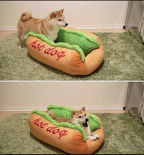Thats one hot dog