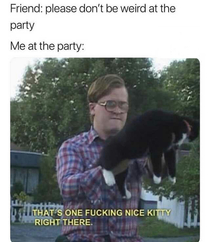 Thats one nice kitty