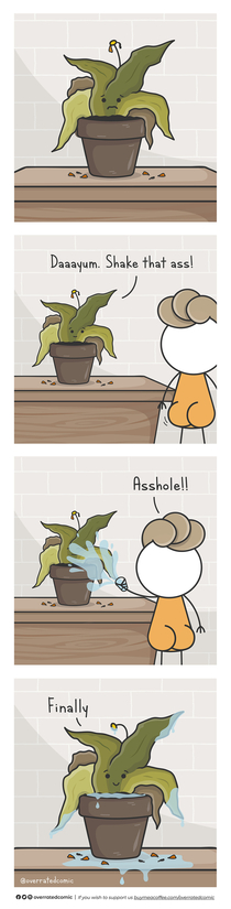 Thats one thirsty plant