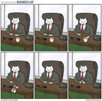 The Adventures of Business Cat