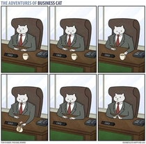 The adventures of business cat