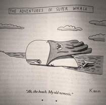 The Adventures of Super Whale via Olivia Wildes twitter