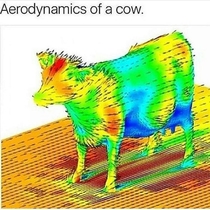 Aerodynamic photos | Meme Guy