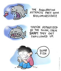 The Anglerfish