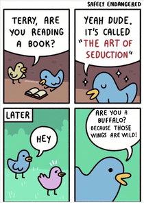 The Art of Seduction