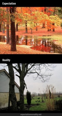 The beautiful colors of Fall