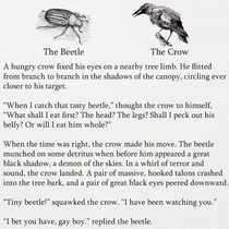 The Beetle and the Crow