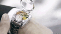 The Bento sushi watch The only Apple watch killer