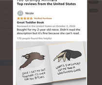 The Best Book Review Ever Posted on Amazon