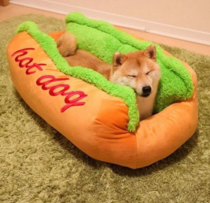 The best dog bed ever 