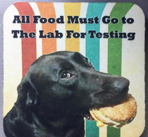 The best lab there ever was