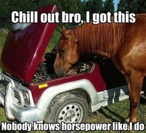The best mechanic ever