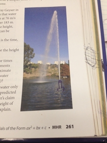 The best penis Ive seen drawn into a textbook