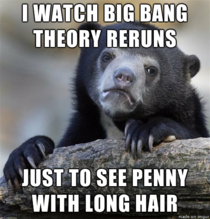 The Big Bang Theory