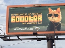 The billboards in my town just keep getting stranger and stranger